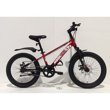 Bicicleta 20 Thunder
