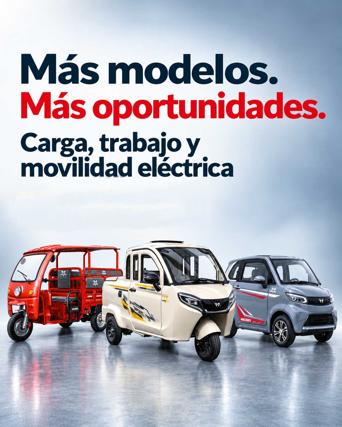 02 moto carga
